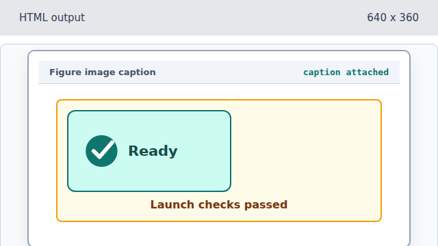 The figure now shows the image and the Launch checks passed caption.